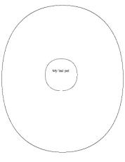 Grammar Worksheets/Writing Maps-Lost Pet (circle)