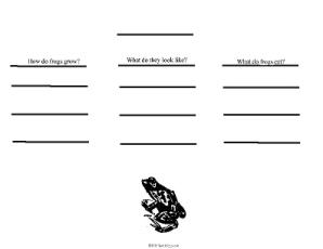Grammar Worksheets/Writing Maps-Frog (Tree)