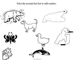 Themes/Winter-Color Animals