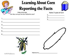 Reading Comprehension Worksheet/Book Report