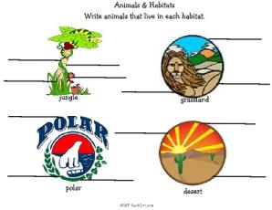 Science-Animal Habitat Worsheets