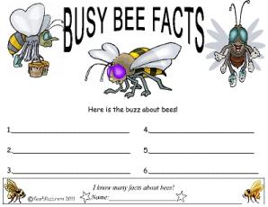 Science-Insect Worsheets/Bees