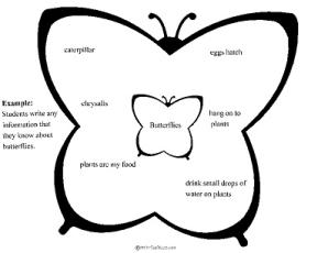Science-Insect Worsheets/Butterflys