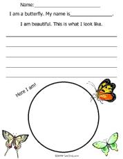 Science-Insect Worsheets/Butterflys
