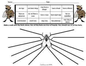 Science-Insect Worsheets/Insects