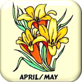 Calendars|April & May Button