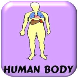 Science|Human Body Button