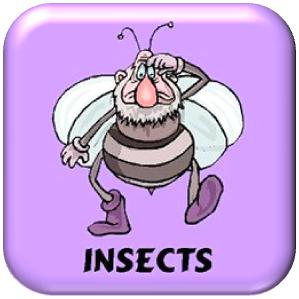 Science|Insects Button