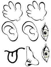five_sense_peson.jpg (61885 bytes)